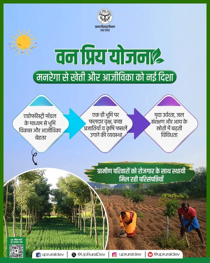 एग्रोफॉरेस्ट्री