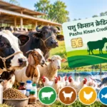 Pashu Kisan Credit Card: पशुपालन के लिए मिलेगा सस्ता कर्ज, जानें ब्याज, पात्रता और आवेदन प्रक्रिया